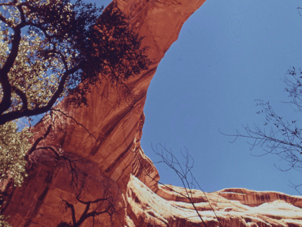 White canyon near the Sipapu Bridge Natural Bridges, by Boyd&nbsp;Norton